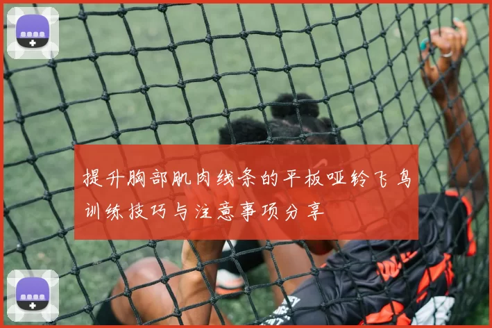 提升胸部肌肉线条的平板哑铃飞鸟训练技巧与注意事项分享