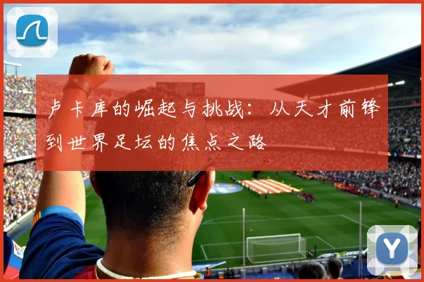 卢卡库的崛起与挑战：从天才前锋到世界足坛的焦点之路